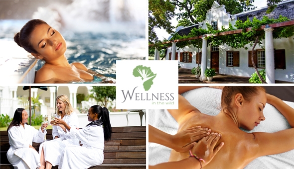 Franschhoek: Luxury Full Body Massage, Healing Earth Facial, Choice of Spa Treatments, Use of the Jacuzzi & a Welcome Beverage at Wellness in the Winelands!