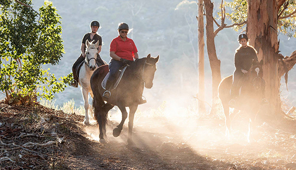 Slow Horses behind Scenic. Slow Horses behind Scenic cadrs.